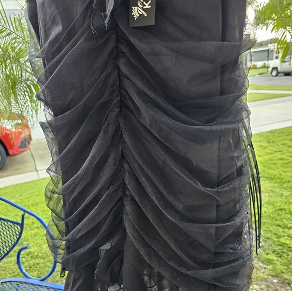 Black Bird - Picture 5 of 13